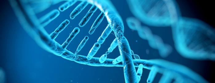 screen-shot-2015-09-27-at-2-20-12-pm