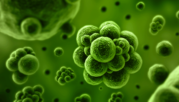 screen-shot-2015-11-12-at-1-54-03-am